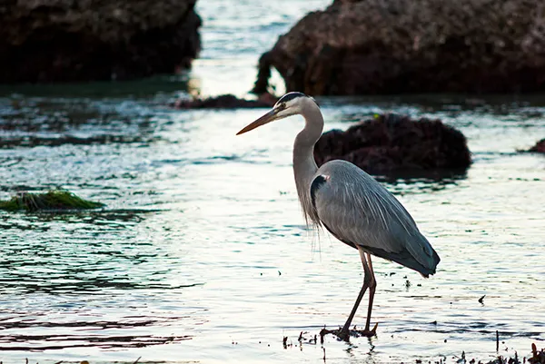 nature-and-city_thumbnail_05