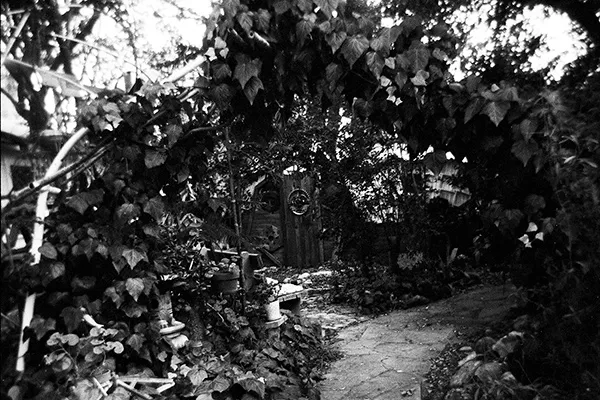 nature-and-city_thumbnail_07