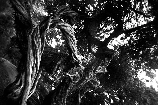 nature-and-city_thumbnail_14